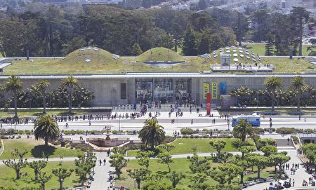 张志维的公司协助设计和完成加州科学博物馆的绿屋顶。（李欧/大纪元）